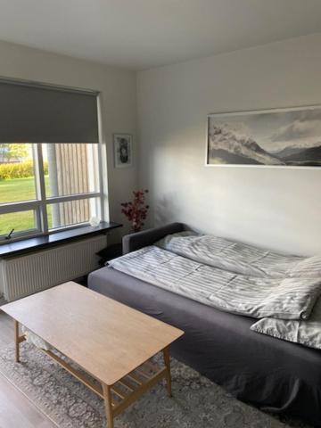 סלפוס David'S Apartment מראה חיצוני תמונה